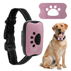 Dog wearing USB rechargeable anti-barking training collar with purple control device