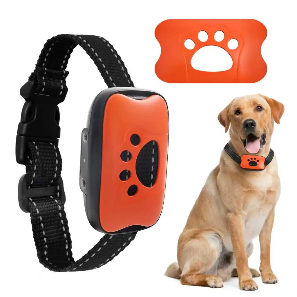 Dog wearing USB rechargeable anti-barking training collar with orange control device
