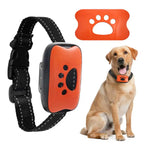 Dog wearing USB rechargeable anti-barking training collar with orange control device