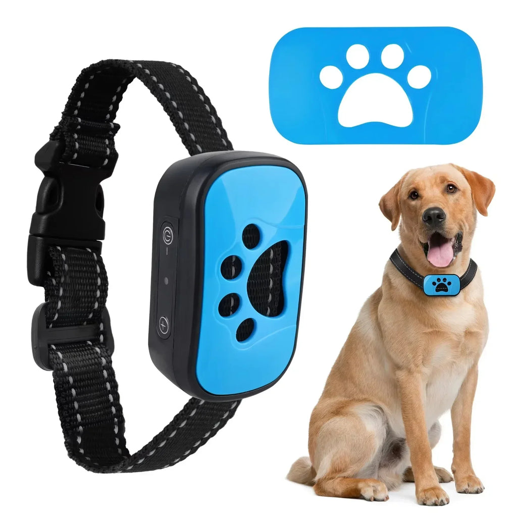 Dog wearing USB rechargeable anti-barking training collar with blue control device
