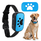 Dog wearing USB rechargeable anti-barking training collar with blue control device