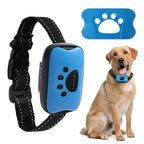 Dog wearing USB rechargeable anti-barking training collar with blue paw-shaped indicator