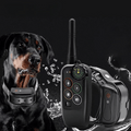 Black waterproof dog training remote with antenna and dog collar receiver