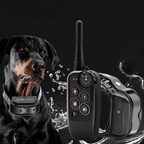 Black waterproof dog training remote with antenna and dog collar receiver