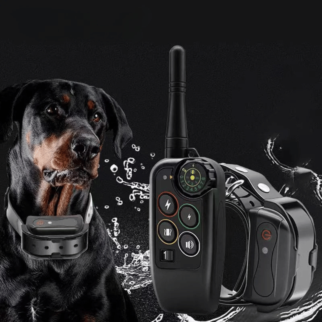 Black waterproof dog training remote with antenna and dog collar receiver