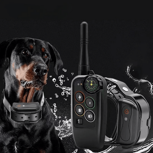 Black waterproof dog training remote with antenna and dog collar receiver
