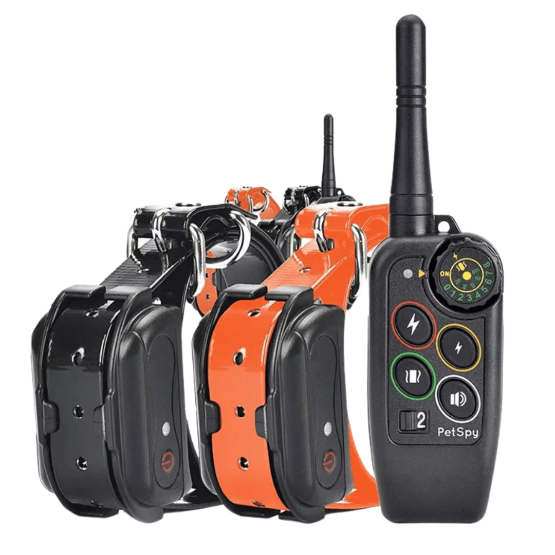 PetSpy waterproof dog training remote with orange and black collar receivers and antenna